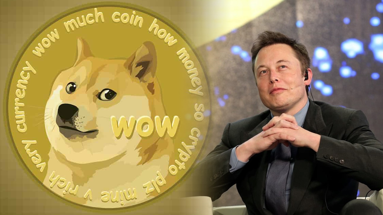 elon musk tan kripto para birimlerine dogecoin resti