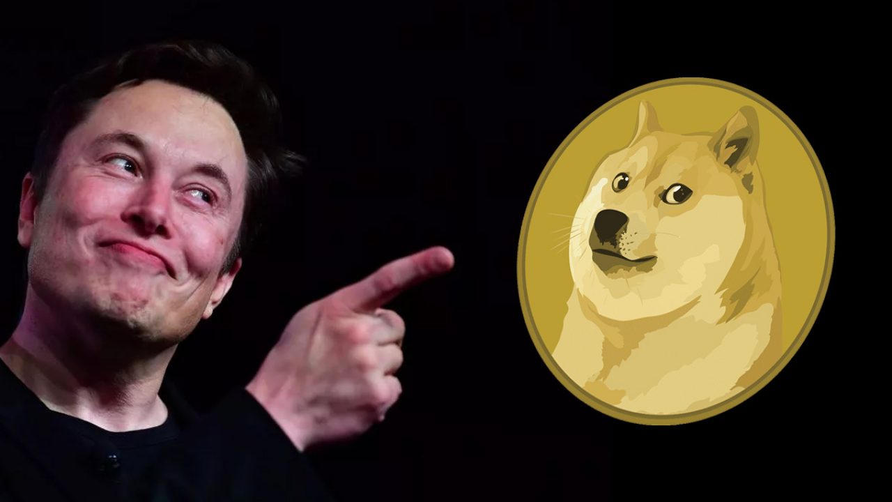 Elon Musk Kimdir 5