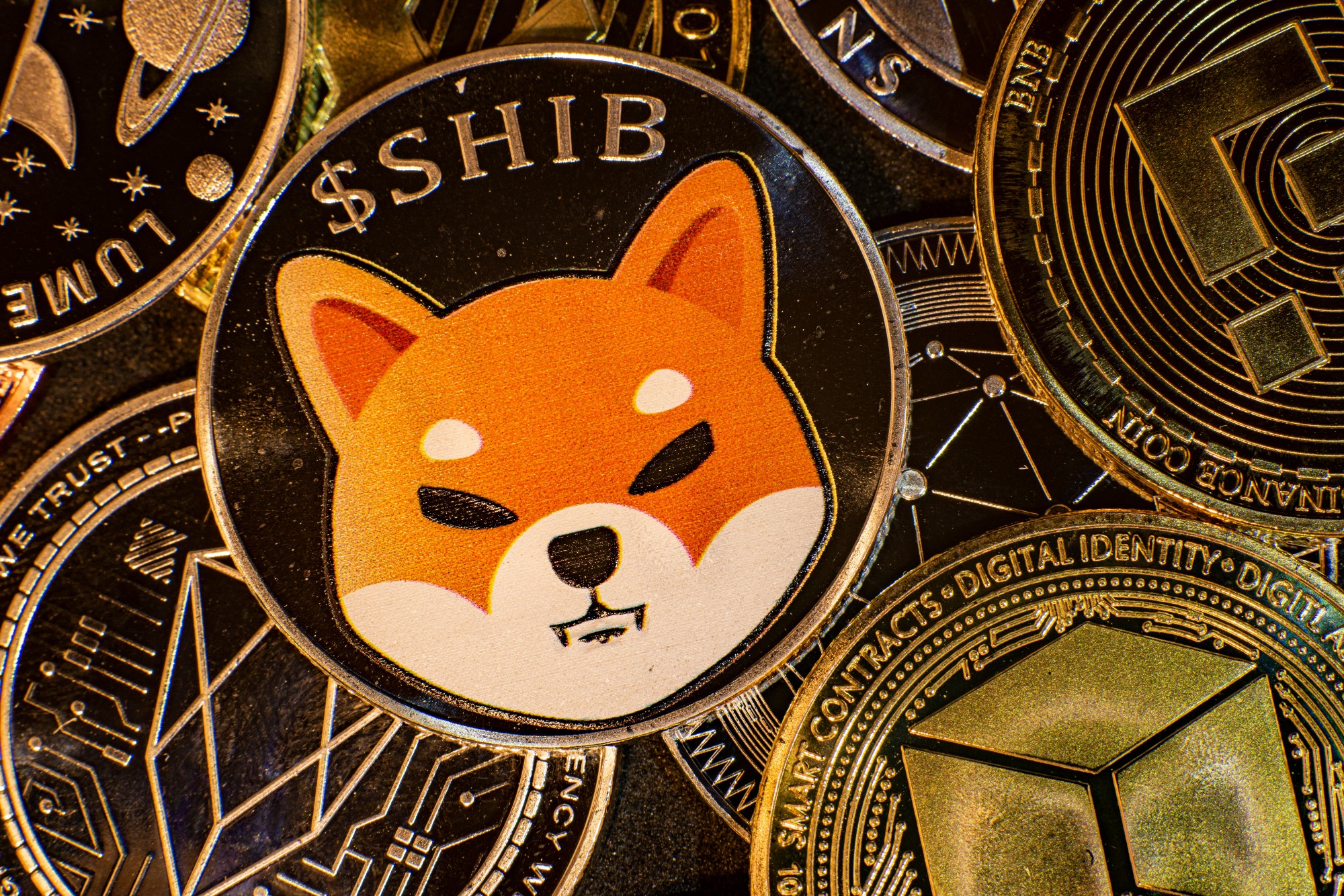 xrp balinasi cuzdanina 20 trilyon shiba inu shib ekledi