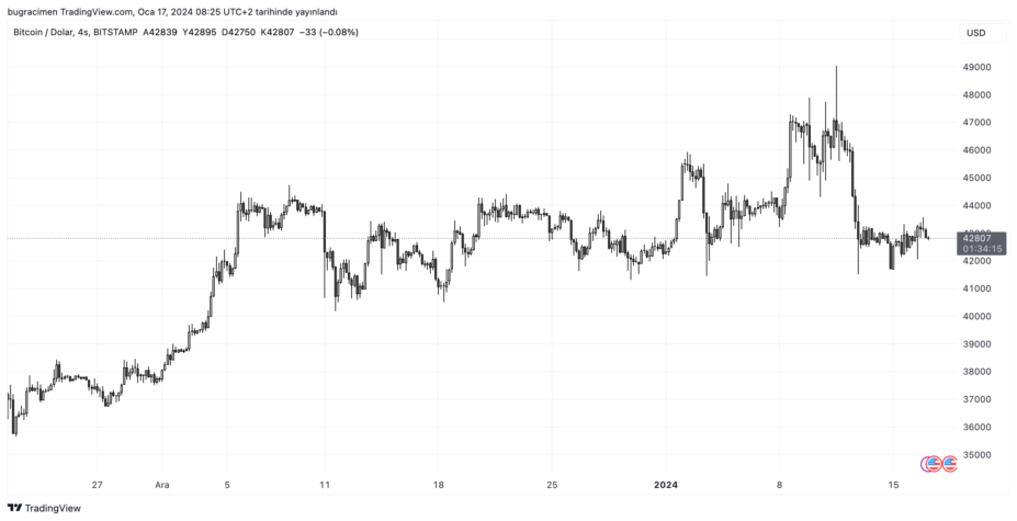 bitcoin btc fiyat