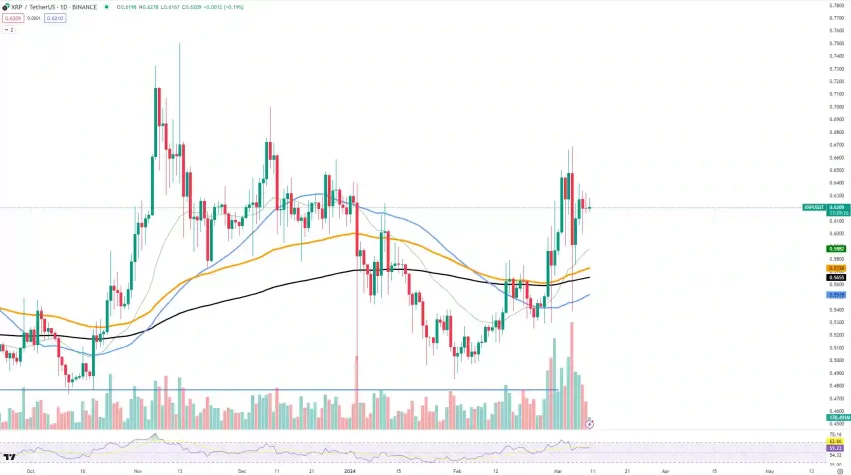 XRP fiyat grafik