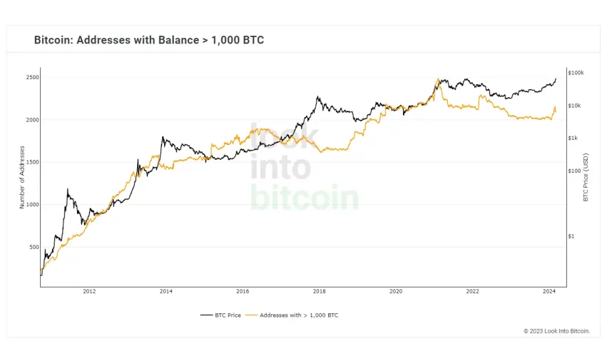 bitcoin balina sayisi