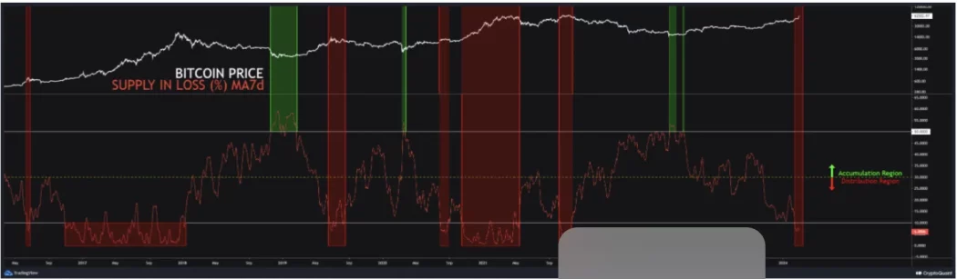 bitcoin kar zarar orani