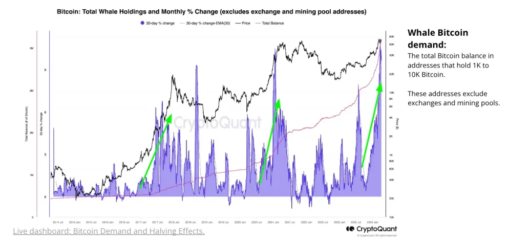 bitcoin balinalar