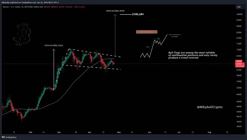 bitcoin boga bayragi