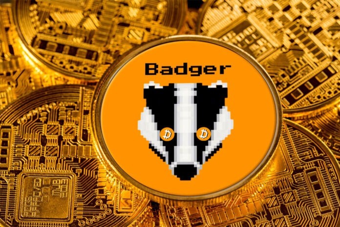 badger 2