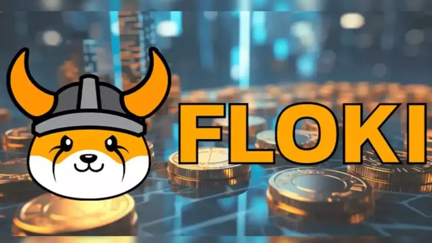 FLOKI coin