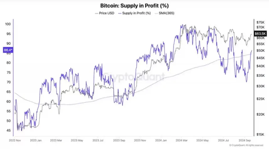 bitcoin kar arz btc