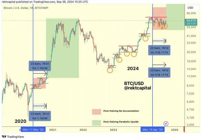 rekt capital gunluk birikim