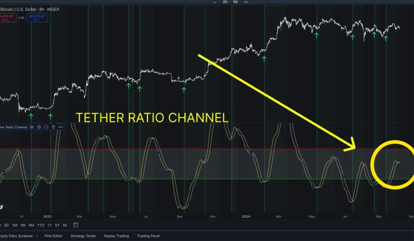 bitcoin dusus tahmini